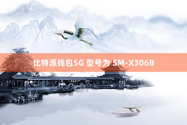 比特派钱包5G 型号为 SM-X306B