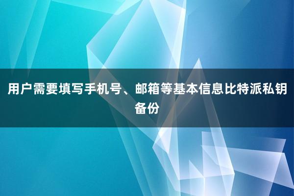 用户需要填写手机号、邮箱等基本信息比特派私钥备份