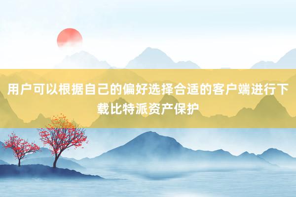 用户可以根据自己的偏好选择合适的客户端进行下载比特派资产保护