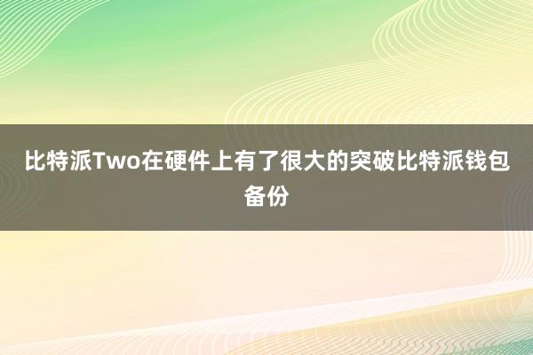 比特派Two在硬件上有了很大的突破比特派钱包备份