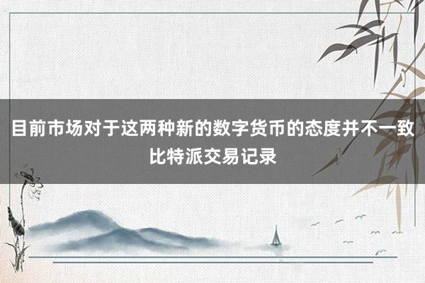 目前市场对于这两种新的数字货币的态度并不一致比特派交易记录