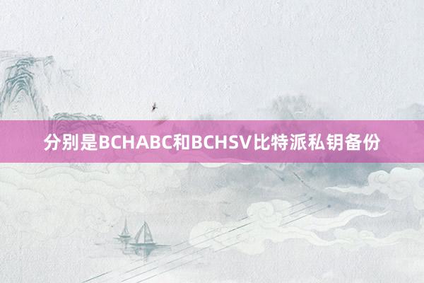 分别是BCHABC和BCHSV比特派私钥备份