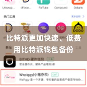 比特派更加快速、低费用比特派钱包备份