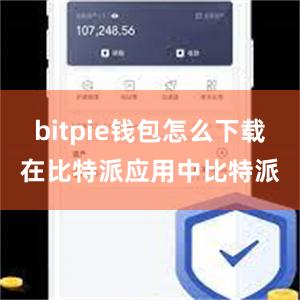 bitpie钱包怎么下载在比特派应用中比特派