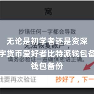 无论是初学者还是资深数字货币爱好者比特派钱包备份