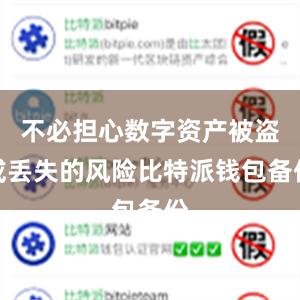 不必担心数字资产被盗或丢失的风险比特派钱包备份