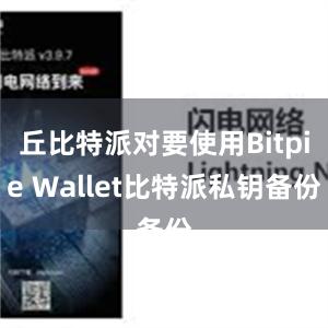 丘比特派对要使用Bitpie Wallet比特派私钥备份