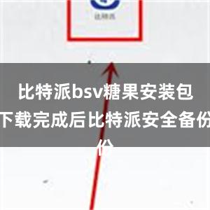 比特派bsv糖果安装包下载完成后比特派安全备份